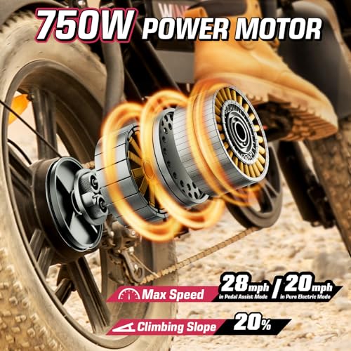 E2/K20 Electric Bike for Adults, 48V 13Ah/15Ah, 750/1000W Peak, 20"/26" Fat Tires Z839544