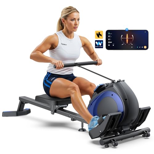 WELLFIT Magnetic Rowing Machine for Home, 300lbs Capacity, Quiet Compact Indoor Rower M52496