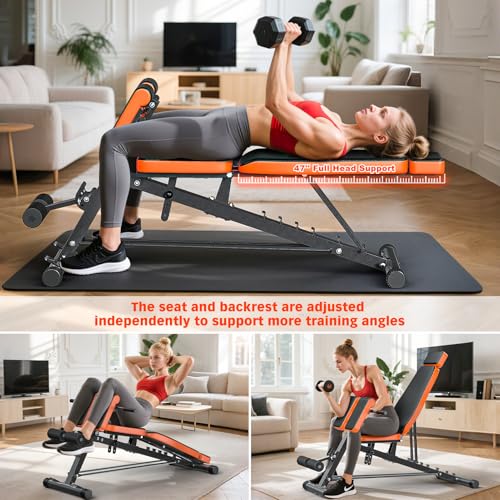 XDDIAS Roman Chair, Adjustable Weight Bench for Home Gym, 1000LBS All-in-One U56652