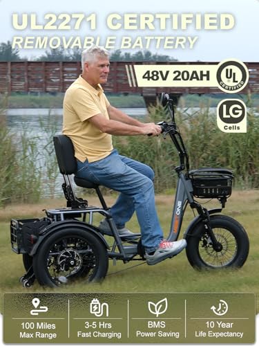 Folding Electric Tricycle for Adults, 1200W, 450lbs Load, UL Certified N810