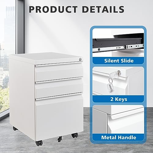 2 Drawer Vertical File Cabinet with Lock for Letter Size, Steel Office Storage Y50014