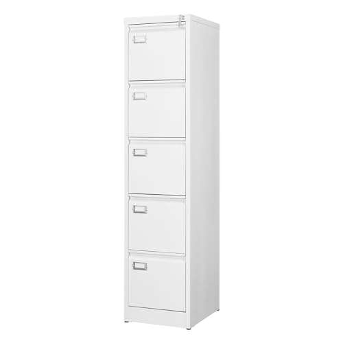 2 Drawer Vertical File Cabinet with Lock for Letter Size, Steel Office Storage Y50014