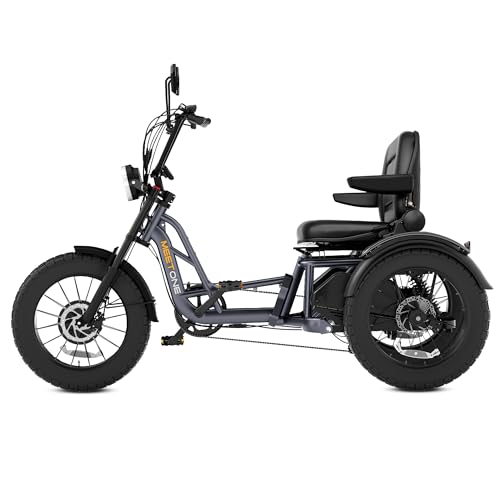 Folding Electric Tricycle for Adults, 1200W, 450lbs Load, UL Certified N810