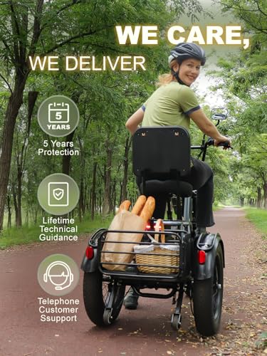 Folding Electric Tricycle for Adults, 1200W, 450lbs Load, UL Certified N810