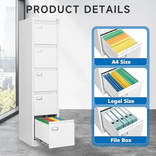 2 Drawer Vertical File Cabinet with Lock for Letter Size, Steel Office Storage Y50014