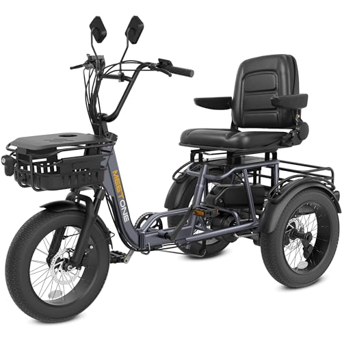 Breeze Folding Electric Tricycle for Adults, 1000W, Fat Tire, 450lbs Load I237900