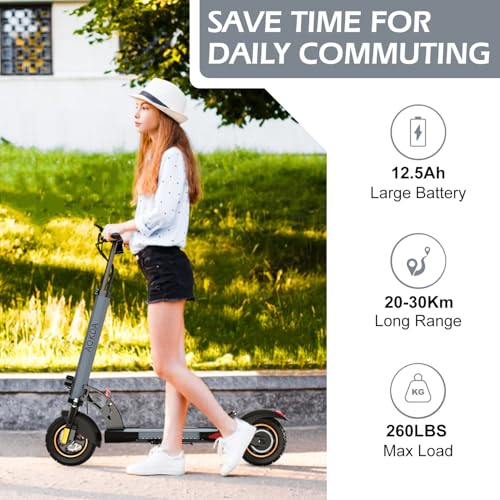 Electric Scooter for Adults, 800W Motor, 28 MPH, 22 Mile Range, 10" Tires N37341