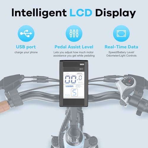 DriftGod 26" Electric Bike for Adults, 1000W Motor, 48V Removable Battery B544