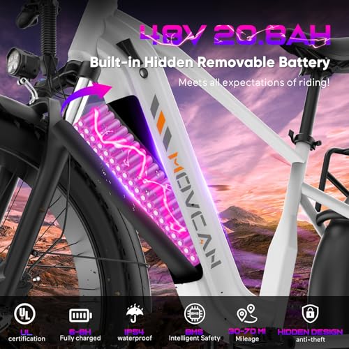 EB60 26" Fat Tire Electric Bike for Adults, 2000W Motor, 48V 20.8AH Battery R225