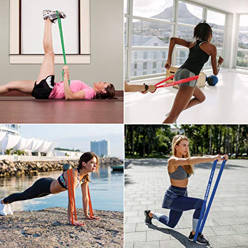 Resistance Bands Set with Door Anchor for Home Gym Workout D603