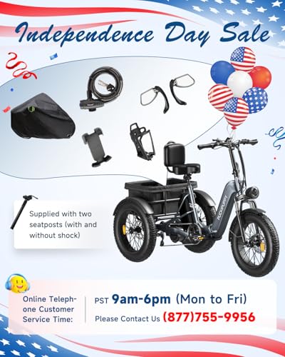 Electric Trike for Adult with 750W Motor, 48V Battery, 20" Fat Tire Y5910