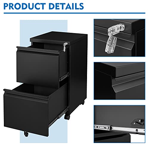 2 Drawer Vertical File Cabinet with Lock for Letter Size, Steel Office Storage Y50014