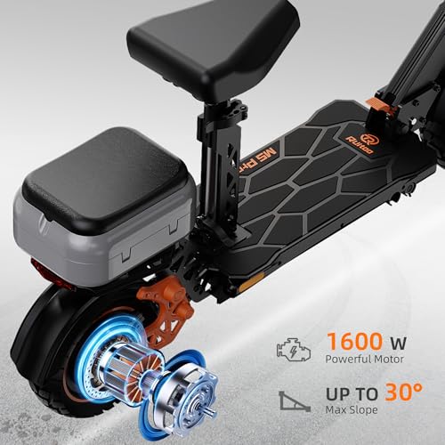 Ruitoo Electric Scooter 1000W Motor, Foldable Off Road E-Scooter for Adults I897875