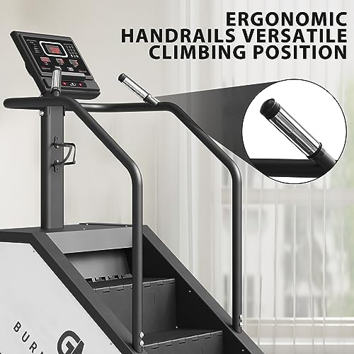 GMWD Stair Stepper with LED Screen, 15 Resistance Levels, 441LBS K61813