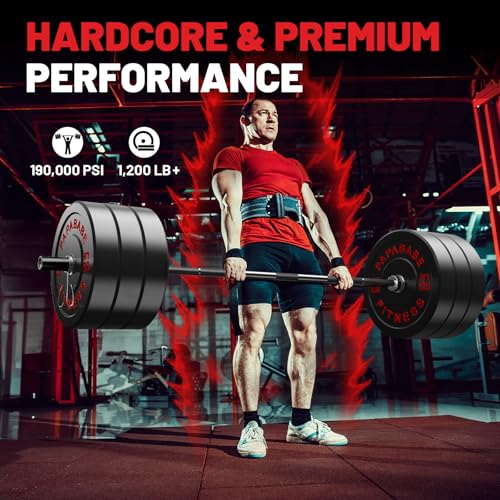 PAPABABE Olympic Barbell 2-inch 45lb Weight Bar for Strength Training V204840