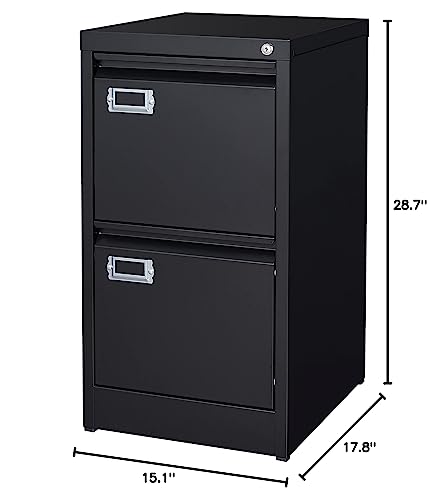 2 Drawer Vertical File Cabinet with Lock for Letter Size, Steel Office Storage Y50014