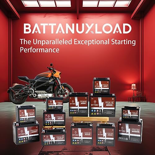 YTX20L-BS Sealed AGM Motorcycle Battery 12V 20Ah V781105
