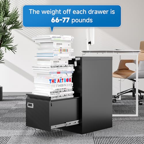 2 Drawer Vertical File Cabinet with Lock for Letter Size, Steel Office Storage Y50014