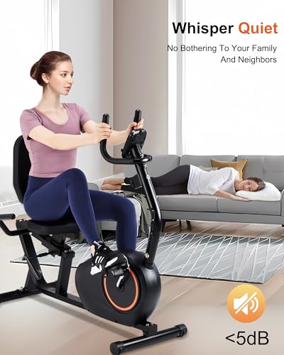 Recumbent Exercise Bike for Seniors with 400LB Capacity M8602