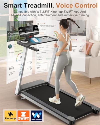 WELLFIT Incline Treadmill for Home, Heavy Duty 3.5HP 375 lb Capacity M8053