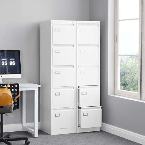 2 Drawer Vertical File Cabinet with Lock for Letter Size, Steel Office Storage Y50014