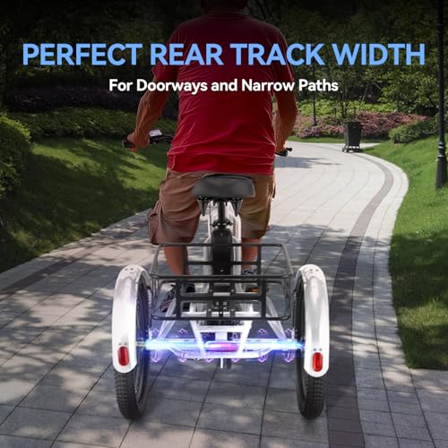Vivi T01 20" x2.6 Fat Tire Electric Tricycle for Adults, 750W Peak, Folding 3-Wheel Bike D7496