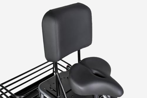 Folding Electric Tricycle for Adults, 1200W, 450lbs Load, UL Certified N810