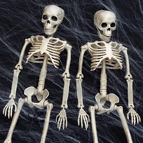 UMEELR 5.9FT Poseable Life Size Skeleton for Halloween Decoration B873000