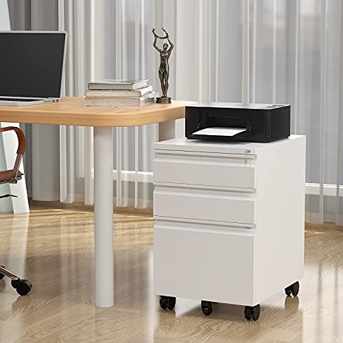 2 Drawer Vertical File Cabinet with Lock for Letter Size, Steel Office Storage Y50014