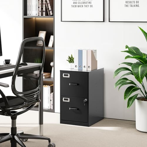 2 Drawer Vertical File Cabinet with Lock for Letter Size, Steel Office Storage Y50014