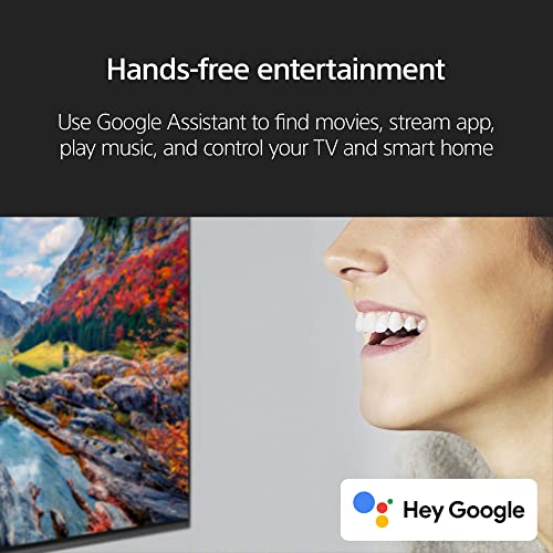 Sony 85 Inch 4K Ultra HD TV X90L Series BRAVIA XR Full Array LED Smart Google TV W2345