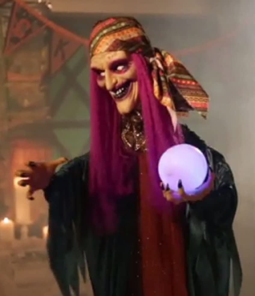 Animated Talking Fortune Teller Witch Halloween Decor A585309