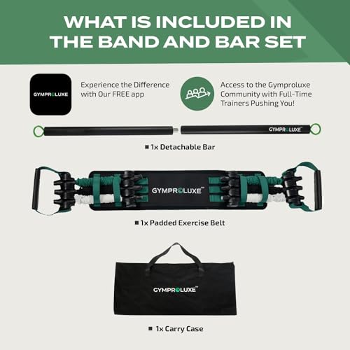 Portable Gym Resistance Band Set with Pilates Bar for Home Workout J298729