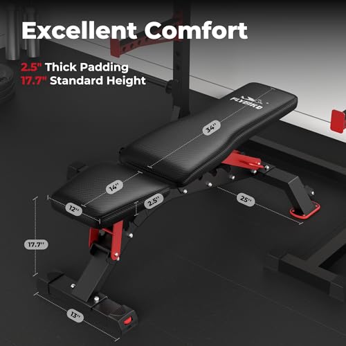 FLYBIRD Adjustable Weight Bench for Strength Training N4368