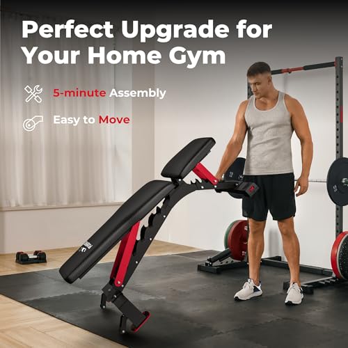 FLYBIRD Adjustable Weight Bench for Strength Training N4368