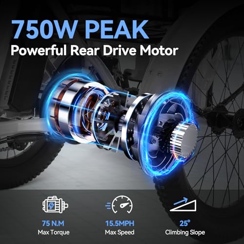 Vivi T01 20" x2.6 Fat Tire Electric Tricycle for Adults, 750W Peak, Folding 3-Wheel Bike D7496