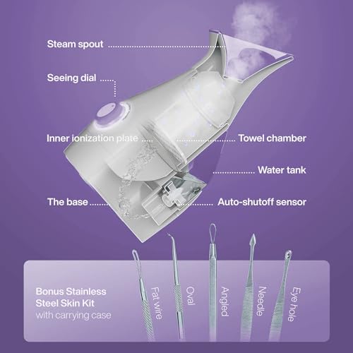 Pure Daily Care NanoSteamer Large 3-in-1 Nano Ionic Facial Steamer with Temp Control, Teal B192