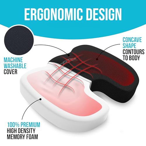 FORTEM Office Chair Cushion and Back Support, Memory Foam Lumbar Pillow, Non Slip, XL V440