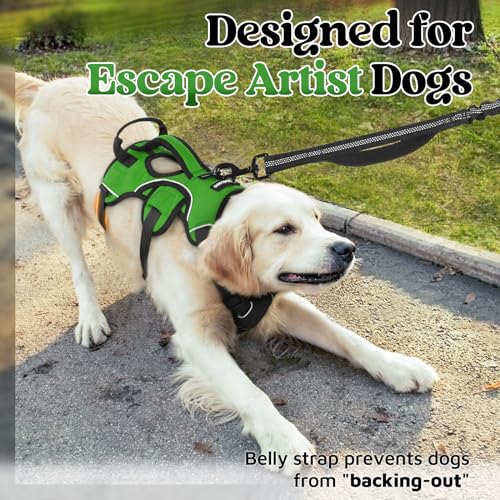 rabbitgoo Escape Proof Dog Harness, Soft Padded Reflective No Pull Vest, Large Dogs, S, Black S398647