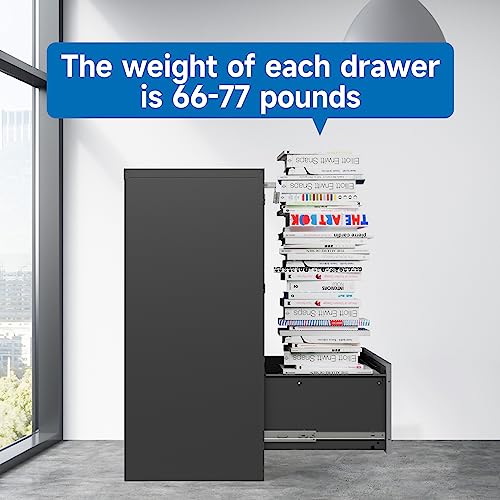2 Drawer Vertical File Cabinet with Lock for Letter Size, Steel Office Storage Y50014