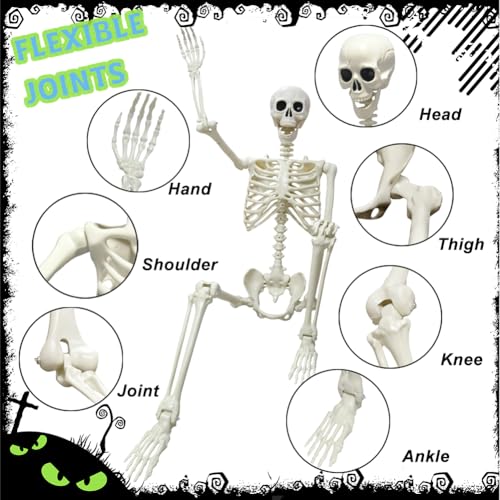 UMEELR 5.9FT Poseable Life Size Skeleton for Halloween Decoration B873000