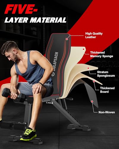 Adjustable Weight Bench for Home Gym, Foldable, 700LBS Capacity B1078