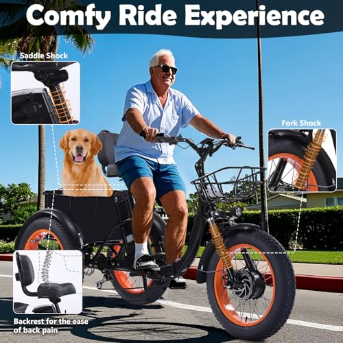 Electric Tricycle for Adults, 750W, Folding Fat Tire, 48V Removable Battery O76597