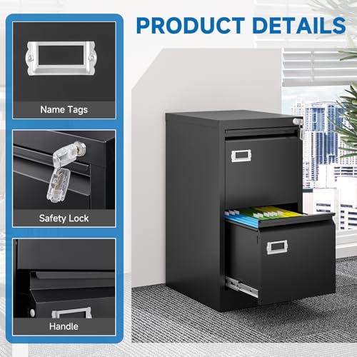 2 Drawer Vertical File Cabinet with Lock for Letter Size, Steel Office Storage Y50014