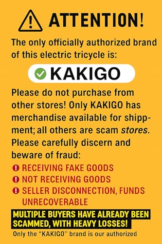 Electric Tricycle for Adults, 500W Folding E-Trike, 20" Fat Tire, 48V 15Ah P5045