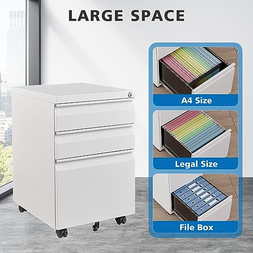 2 Drawer Vertical File Cabinet with Lock for Letter Size, Steel Office Storage Y50014