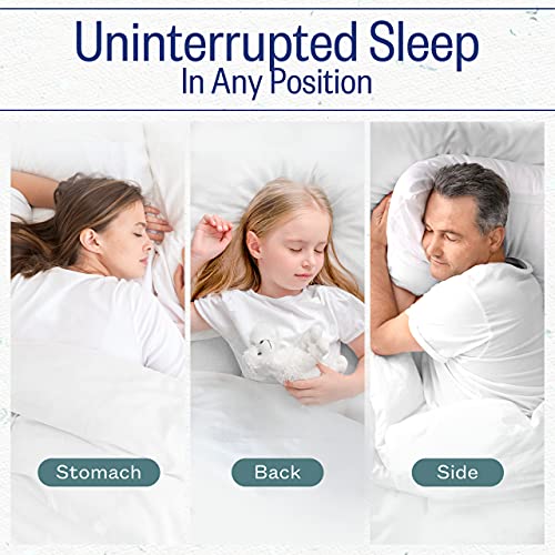 Cooling Gel Fiber Pillow - 2 Pack King H85368