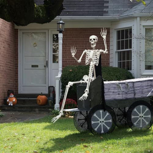 UMEELR 5.9FT Poseable Life Size Skeleton for Halloween Decoration B873000