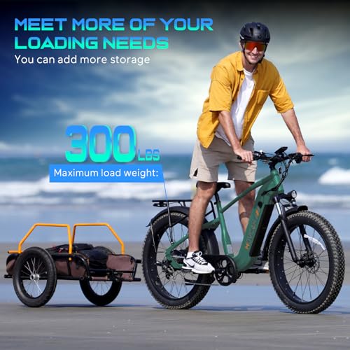 EB60 26" Fat Tire Electric Bike for Adults, 2000W Motor, 48V 20.8AH Battery R225