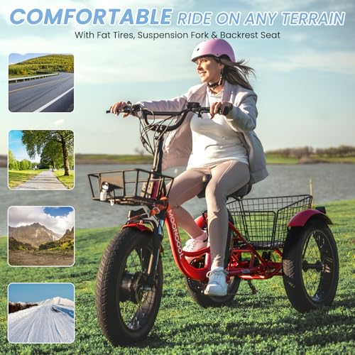 MOONCOOL Electric Tricycle for Adults, 500W Motor, 7-Speed, Removable Battery T91463